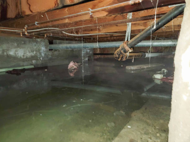 Best 24-hour water damage restoration  in USA